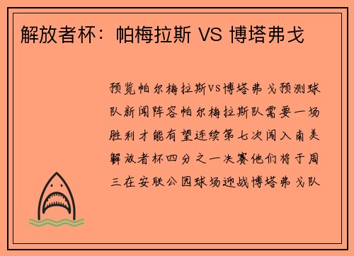 解放者杯：帕梅拉斯 VS 博塔弗戈