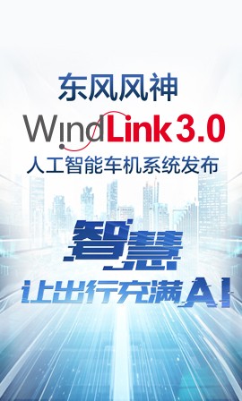 Windlink 3.0˹ܳϵͳ